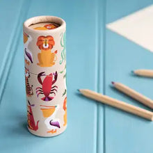 Load image into Gallery viewer, Pot of Colouring Pencils
