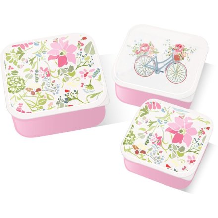 Set Of 3 Lunch Boxes - Julie Dodsworth Pink Botanical
