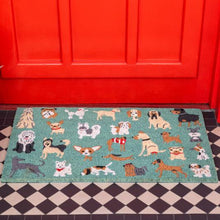 Load image into Gallery viewer, Coir Door Mats
