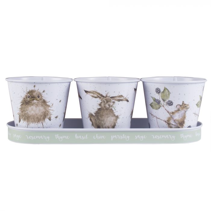 Country Animal Herb Pots & Tray
