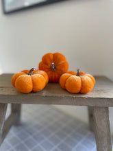 Load image into Gallery viewer, Velvet Pumpkins
