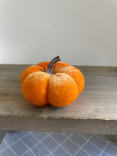 Load image into Gallery viewer, Velvet Pumpkins
