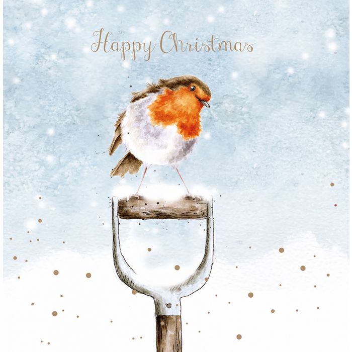 Little Red Robin Christmas Cards